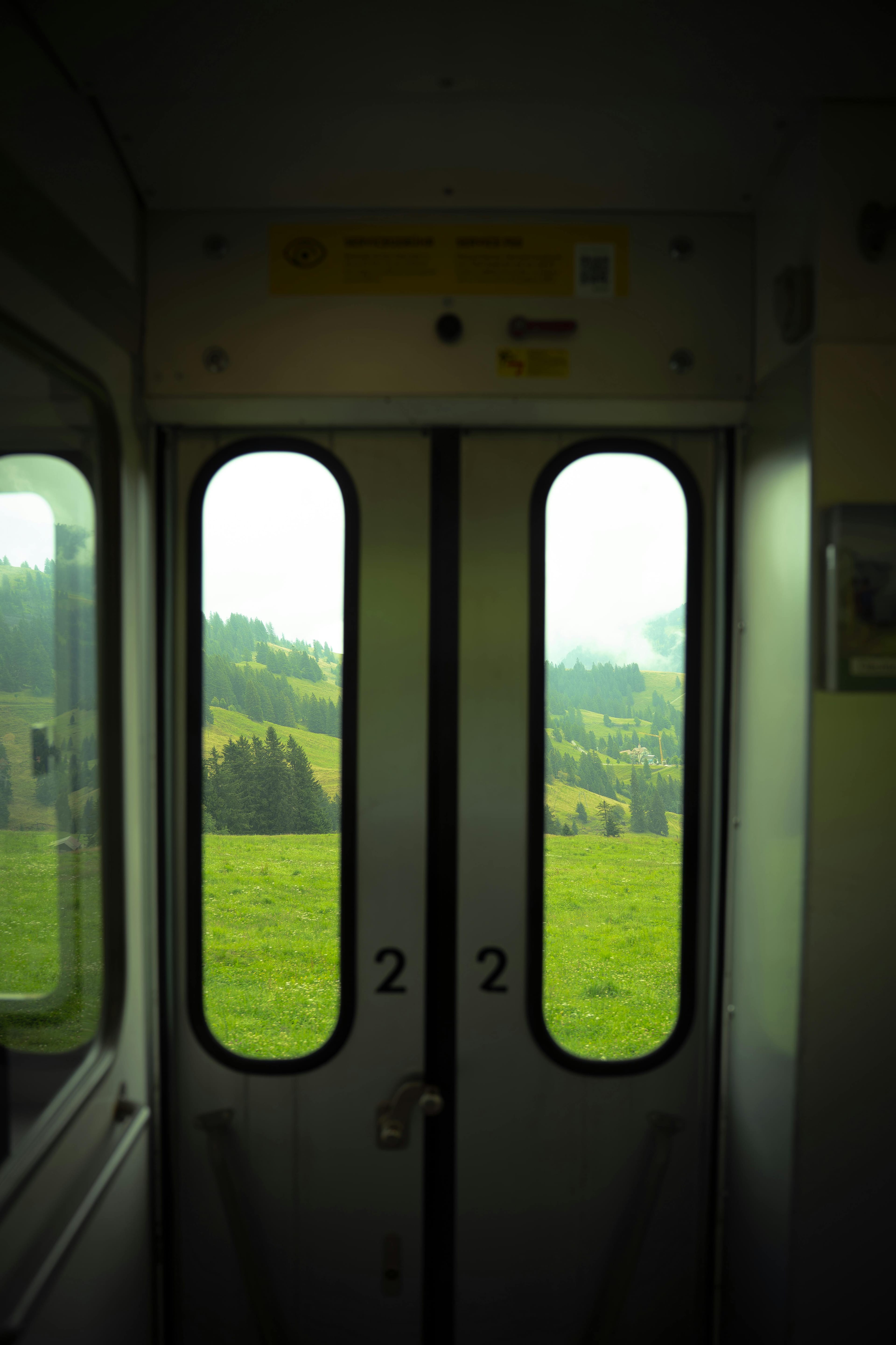 11 Weeks of Writing: What I Learned About Diary image